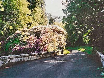 DalmellingtonForget Me Not - Skkz别墅 外观 照片